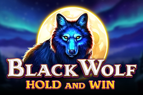 Black Wolf Black Wolf